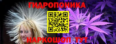 тгк Долгопрудный