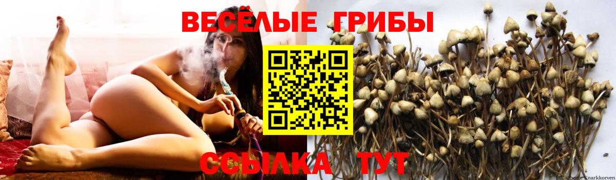 Галлюциногенные грибы мицелий  Вход с VPN  Выкса 